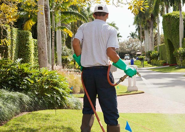 About Montgomery NY Pest Control Pros